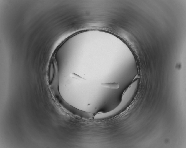 X0000097971336200804211001