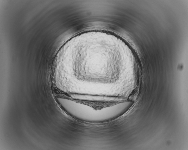 X0000097971337200804211001