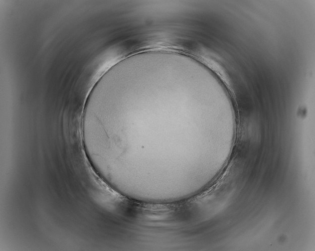 X0000097971338200804211001