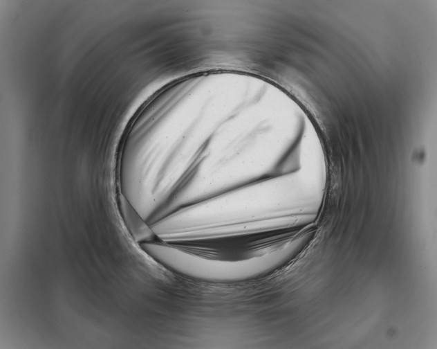 X0000097971339200804211001