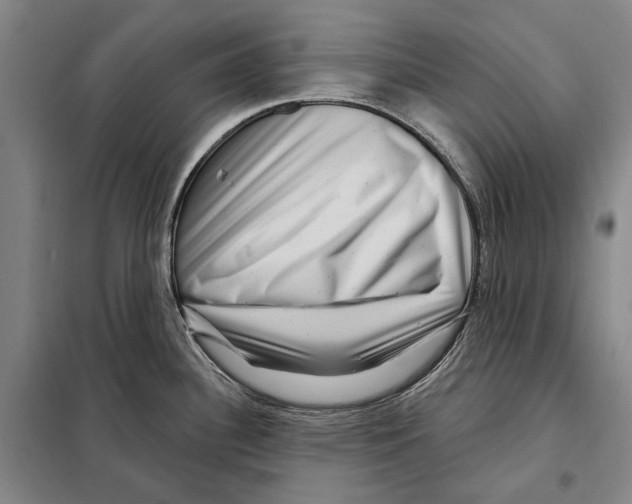 X0000097971340200804211001