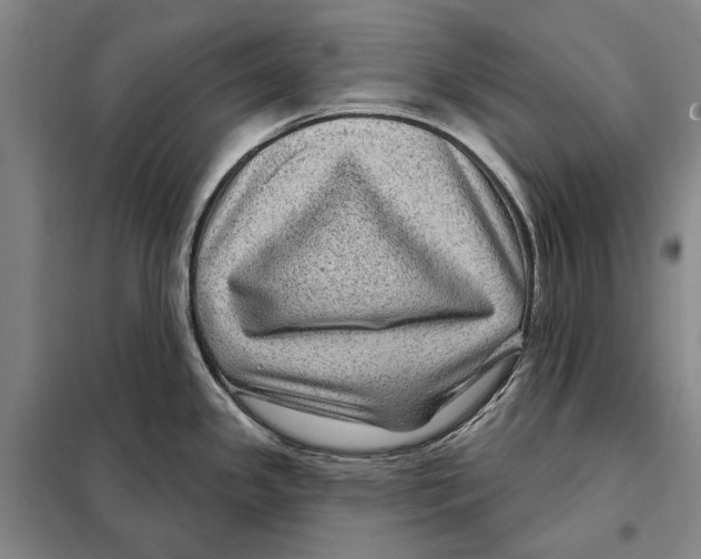 X0000097971341200804211001