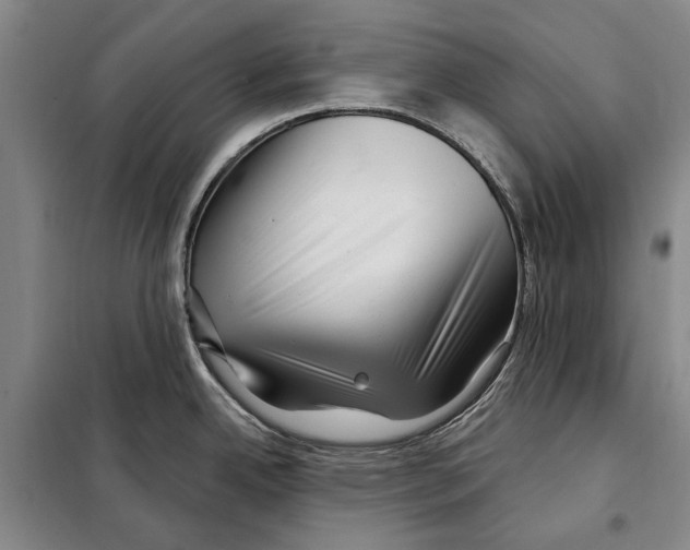 X0000097971342200804211001