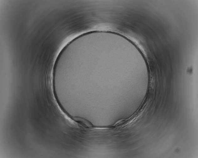 X0000097971343200804211001