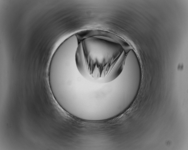 X0000097971344200804211001