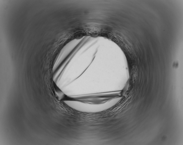 X0000097971345200804211001