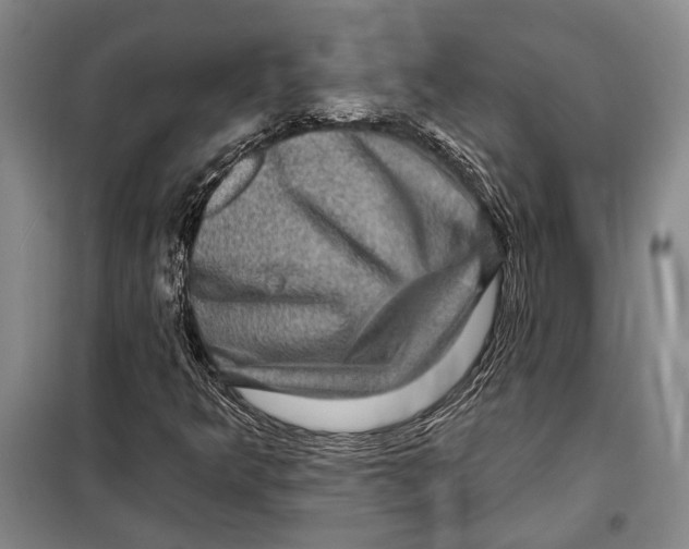 X0000097971349200804211000
