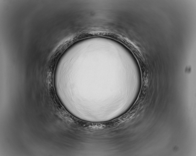 X0000097971351200804211000