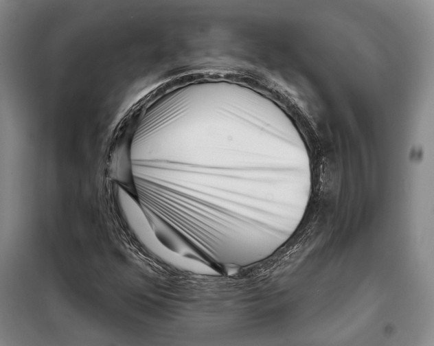 X0000097971352200804211000