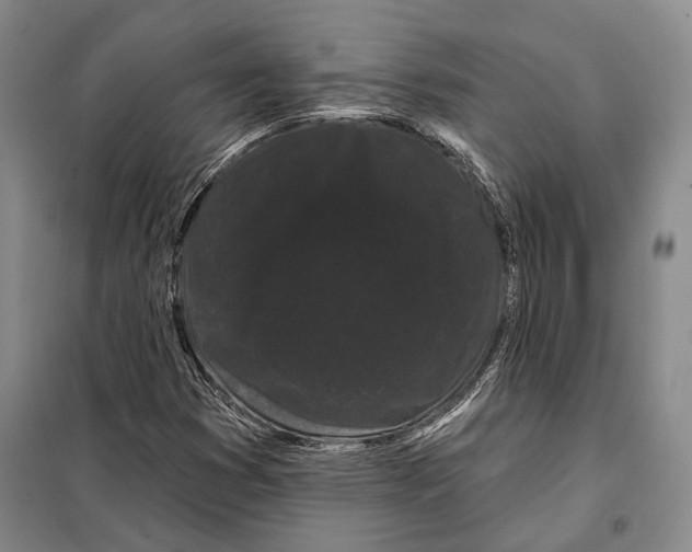 X0000097971353200804211000