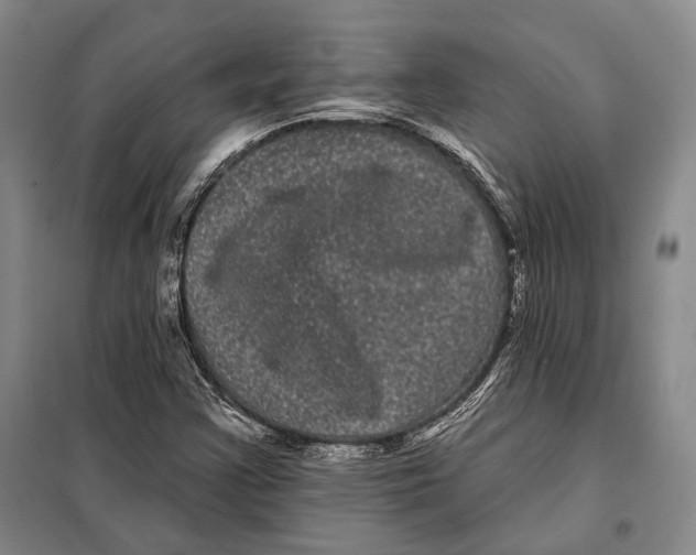 X0000097971355200804211000