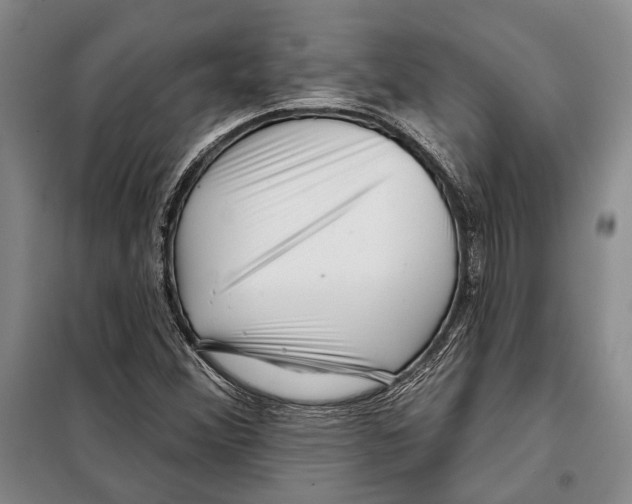 X0000097971356200804211000