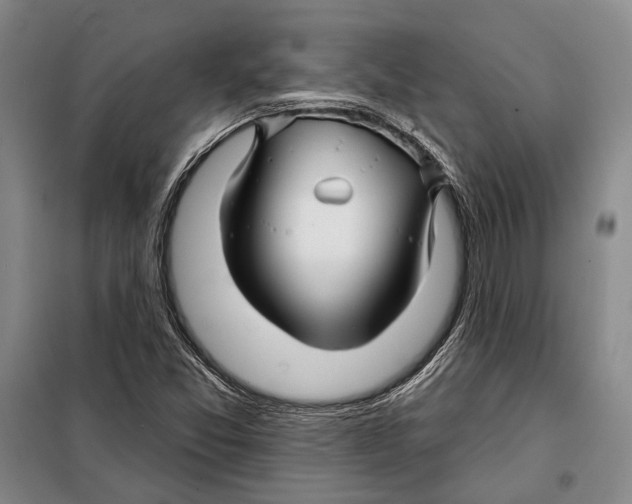 X0000097971357200804211000
