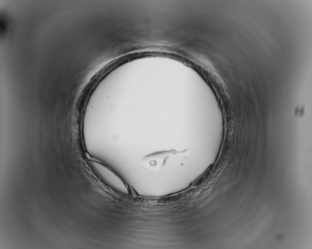 X0000097971360200804211000