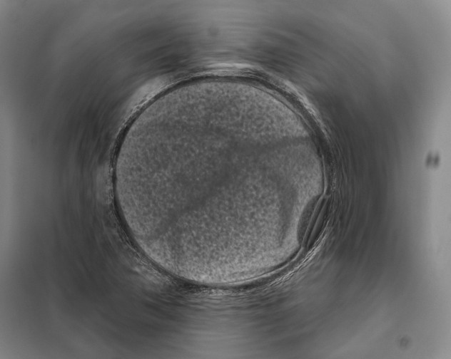 X0000097971362200804211000