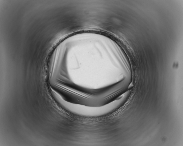 X0000097971363200804211000