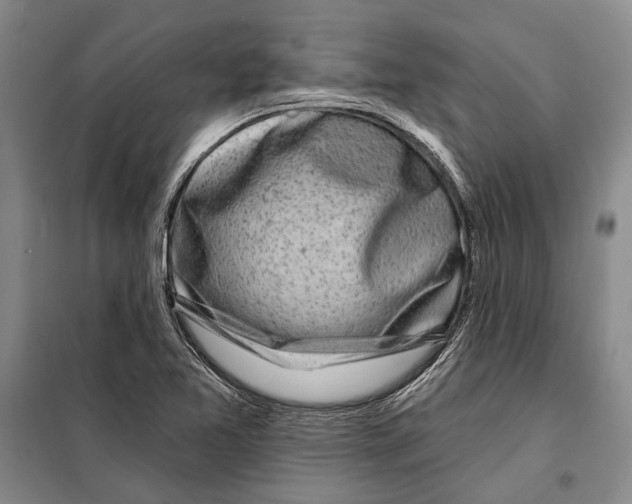 X0000097971365200804211000