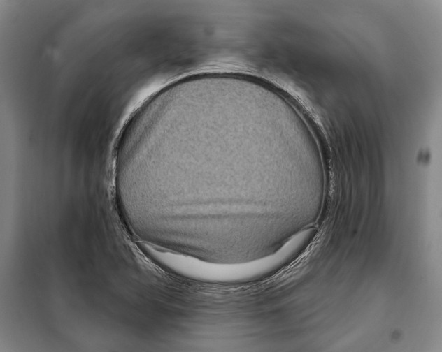 X0000097971366200804211000
