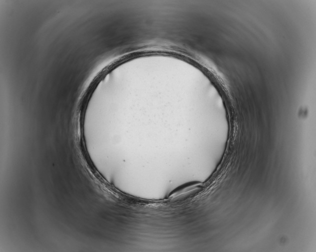 X0000097971368200804211000