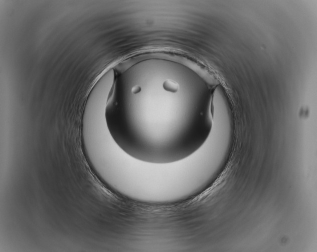 X0000097971369200804211000
