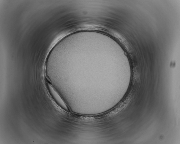 X0000097971370200804211000