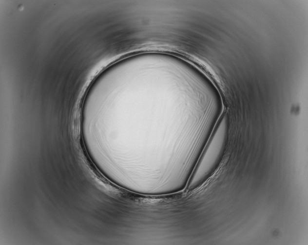 X0000097971371200804211000