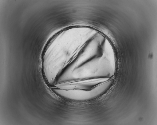 X0000097971372200804211000