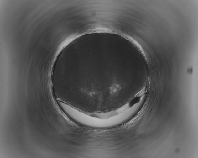 X0000097971373200804211000