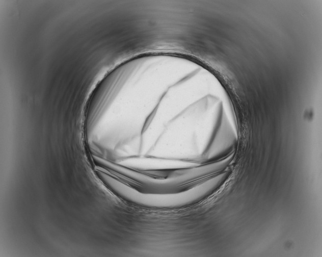 X0000097971374200804211000