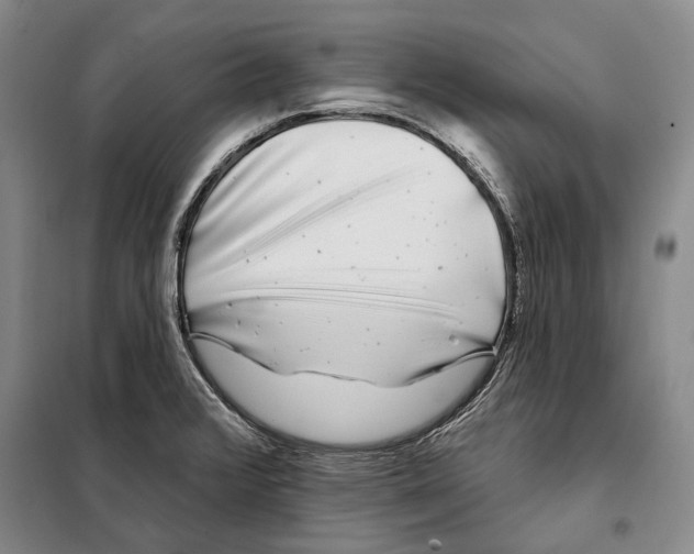 X0000097971376200804211000