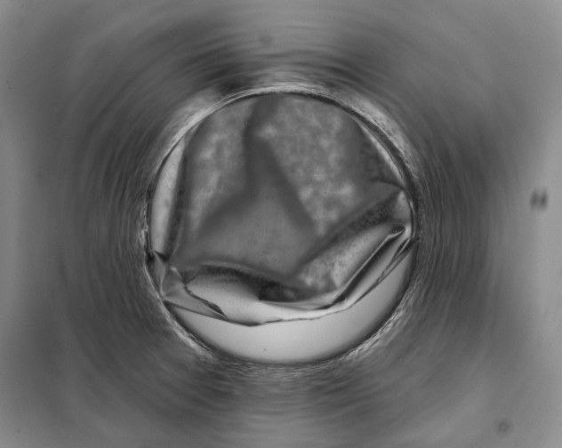 X0000097971377200804211000