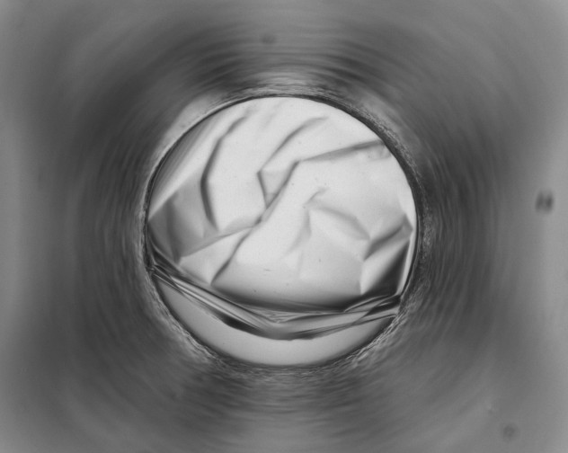 X0000097971378200804211000