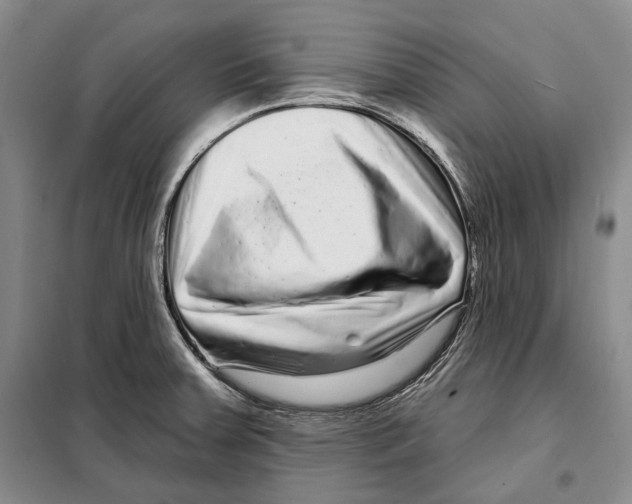 X0000097971379200804211000