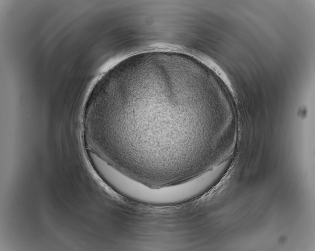 X0000097971381200804211000