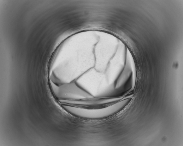 X0000097971382200804211000