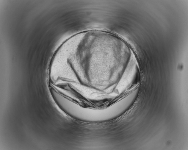 X0000097971383200804211000