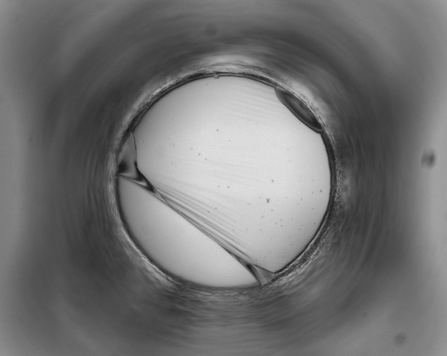 X0000097971384200804211000