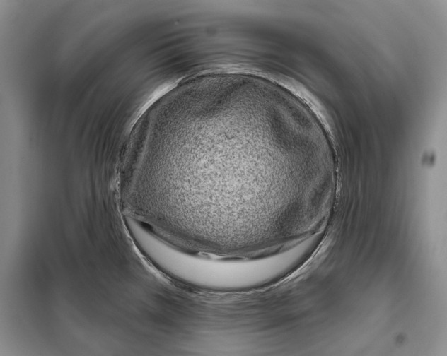 X0000097971385200804211000