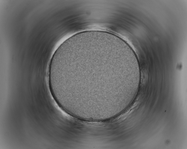 X0000097971387200804211000