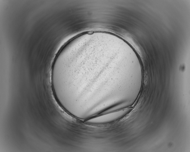 X0000097971388200804211000