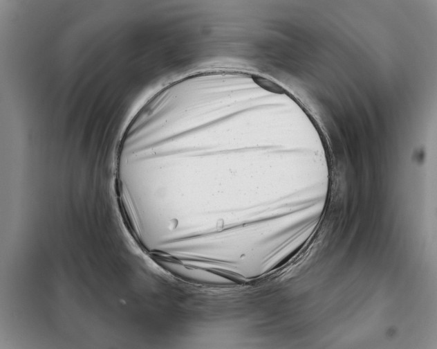 X0000097971390200804211000