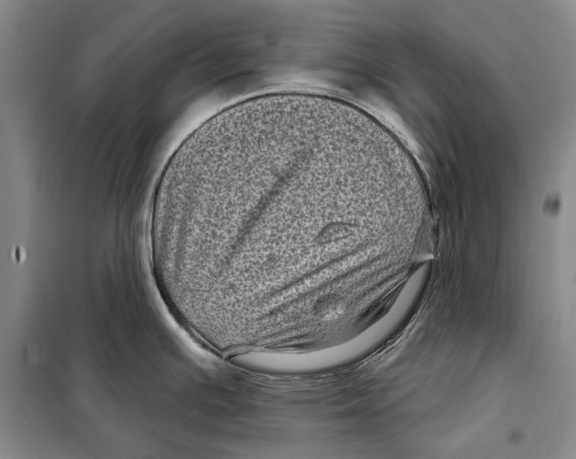 X0000097971391200804211000
