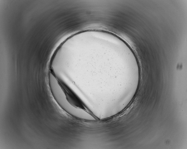 X0000097971392200804211000