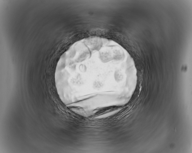 X0000097971393200804210959