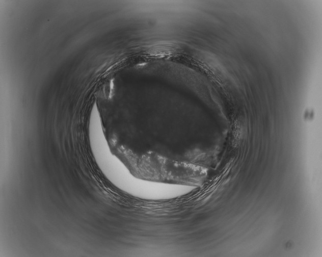 X0000097971394200804210959