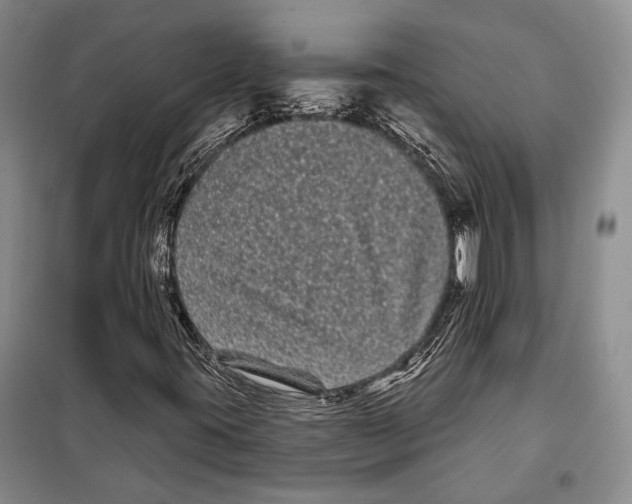 X0000097971395200804210959