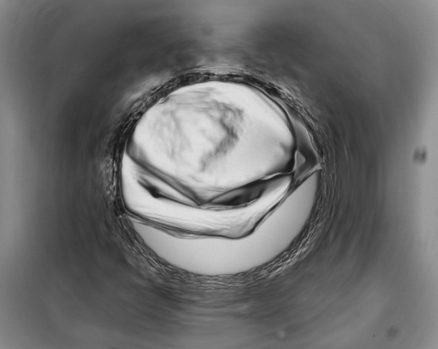 X0000097971398200804210959