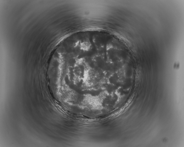 X0000097971401200804210959