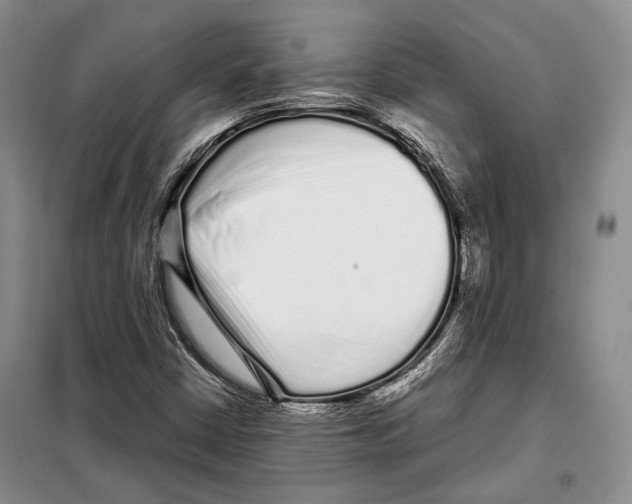 X0000097971402200804210959