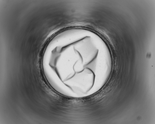 X0000097971404200804210959